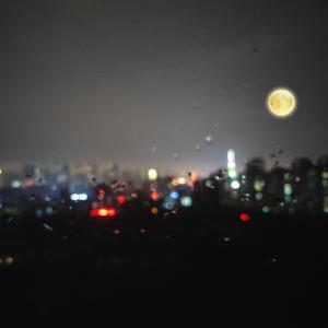 肉棒交媾草逼视
